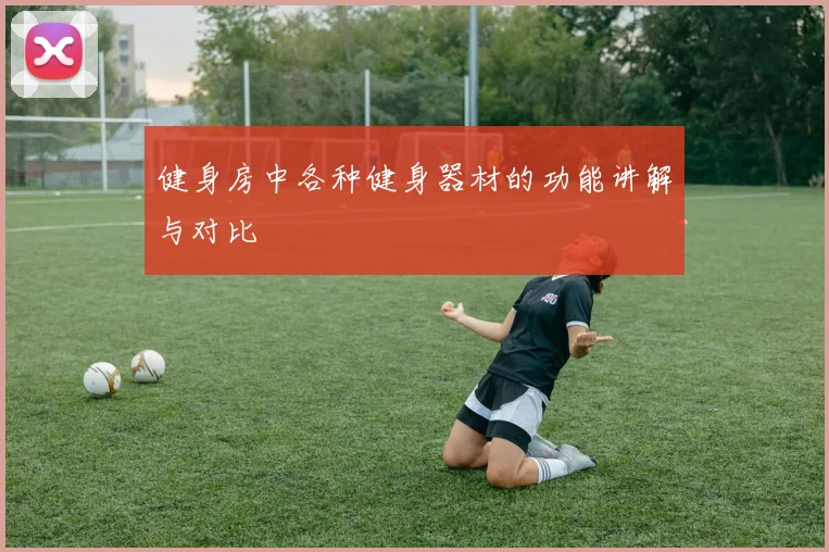 健身房中各种健身器材的功能讲解与对比