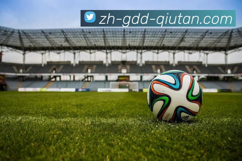 球探体育平台生态图