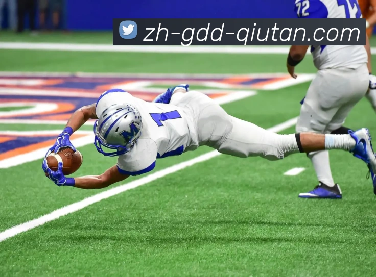 球探体育全站App